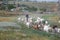 Rural landscape of a shepherd with a herd of goats. A shepherd leads a herd of goats along a path in the steppe zone