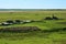 Rural landscape. Siberian Village. Harvested hay rolls. Wooden houses with gardens.