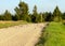 Rural landscape with a simple road and small birds on it, bird migration time