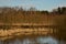 Rural landscape in spring.