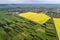 Rural landscape on spring or summer day. Aerial view of green, plowed and blooming fields, house roofs on sunny dawn. Drone