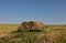 Rural Landscape with Stacked Bails of Hay