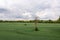 Rural landscape before the storm, withered tree in the middle of a agricultural field, drone photo