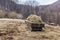 Rural landscape. Straw hay on tractor trailer at fields