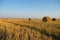 Rural landscape with straw rolls. autumn landscape
