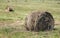 Rural landscape with summer field with many rolled haystacks with one of it close-up on front