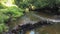 Rural landscape in summer. Stone dam on river