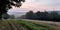 Rural landscape in swiss normandy