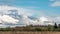 Rural landscape. Tree field and cloud movement.