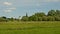 Rural landscape with trees in Oude Kale nature reserve, Ghent