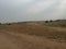 Rural landscape view of the Thar desert, Jaisalmer