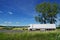 Rural landscape with white truck on the road