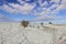 RURAL LANDSCAPE WINTER. Alta Murgia National Park: snowy hills with lonely tree.- Apulia ITALY-