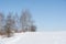 A rural landscape in the winter season, full of deep, fluffy snow. Trees without leaves. Large snowdrifts in