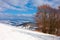 Rural landscape in wintertime. trees on the snow covered hill. beautiful scenery of carpathian mountains