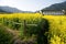 Rural landscape in wuyuan county, jiangxi province, china