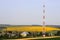 Rural landscape. Yellow wheat, rapeseed or mustard field with a telecommunication tower and village houses.