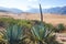 Rural landscapes in Peru