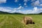 Rural landscapes. Rolls of haystacks on the field. Summer farm scenery with haystack on the background of forest