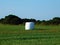 rural landscapes in Zamora province