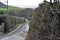 Rural lane going down to the coast