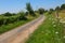 Rural lane in nature