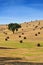 Rural lanscape, Portugal