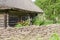 Rural log cabin with garden flowers and limestone fence