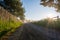 Rural macadam road that runs between wooden fences