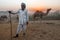 Rural Man With His Camels At Pushkar Fair Rajasthan