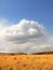 Rural meadow with storm clouds