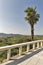 Rural mediterranean landscape with village, hills, vineyard and palm.