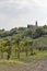 Rural mediterranean landscape with vineyards and Biljana village, Slovenia