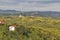 Rural mediterranean landscape with vineyards and Biljana village, Slovenia