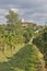 Rural mediterranean landscape with vineyards and Smartno village, Slovenia