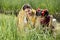 Rural mother with daughter in agricultural field