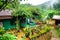 Rural mountain little village with typical Indonesian green house and and little garden