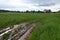 Rural muddy dirt road in summer after rain on the background of green bushes. Off-road