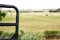 Rural Nebraska field with haybales