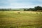 Rural Nebraska field with haybales