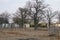 Rural neighborhood in Botswana