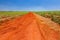 Rural orange dirt road in sugar cane plantation with blue sky and far horizon - perspective