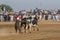 Rural Pakistan, the thrill and pageantry bull race.