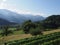 Rural panorama with Alps at european Gruyeres town in Switzerland on August