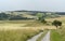 Rural panoramic scenery with farm track