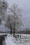 rural parking lot with snow and icy trees, snow and a resting area