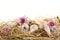 Rural pastel quail easter eggs in the hay with feathers