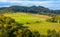 Rural pasture fields on Carpathian hills