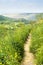 Rural Path among Green Hills and Blooming Wild Flowers in Spring. Pure Nature Romantic Hiking Trail