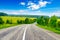 Rural paved road among fields